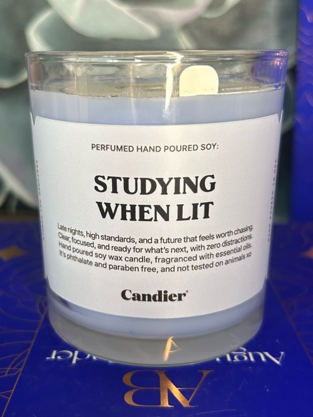 Candier by Ryan Porter Studying When Lit Citrus Santal Scented Soy Candle